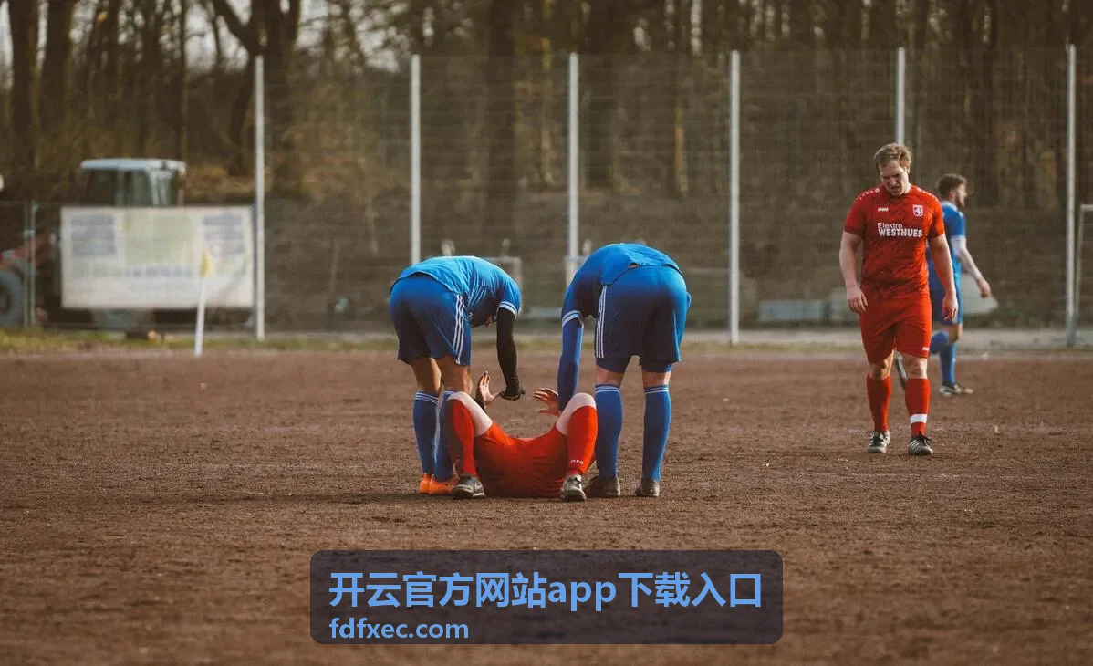 开云官方网站app下载入口的官方渠道说明页面示意