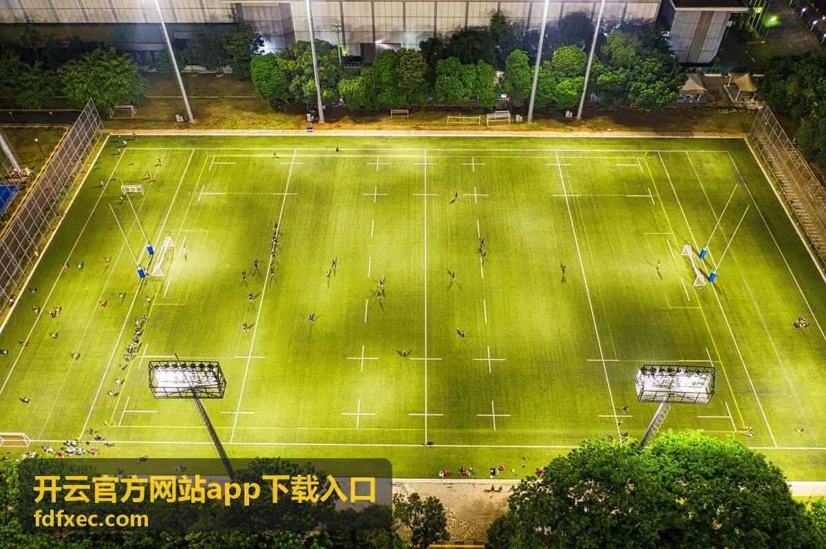开云官方网站app下载入口注册验证码校验操作界面